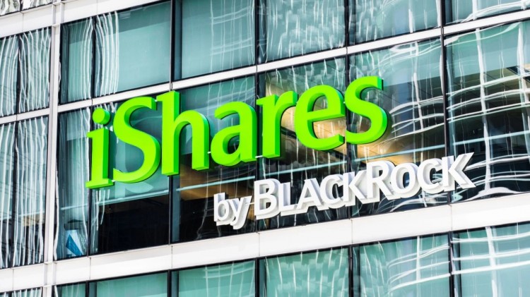 [加密王]貝萊德 (Blackrock) 的比特幣 ETF 在 202 年飆升至前五名