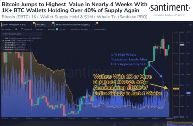 比特幣鯨魚大量吸籌，比特幣價格在減半前反彈中瞄準 51,000 美元