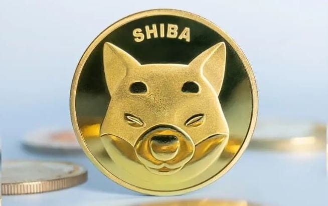 避免模因幣的致命錯誤 吸取教訓 盈利回升