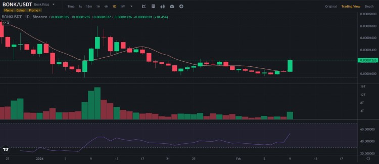 BONK 在短短 24 小時內增長了 17.52%：發生了什么？