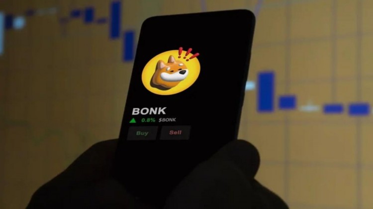 在斐波那契0.38黃金比例的支撐下，BONK可能飆升50%