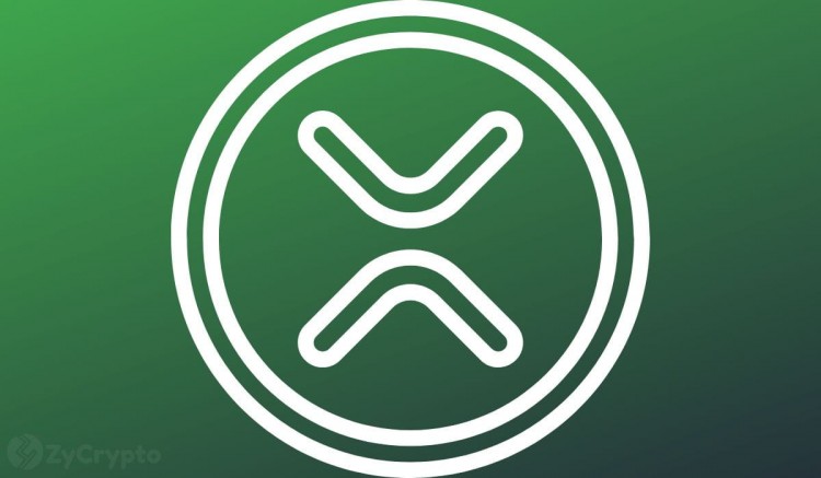 4 美元 XRP 創下歷史新高？ — XRP 軍隊要求 Ripple 針對價格表現不佳采取行動