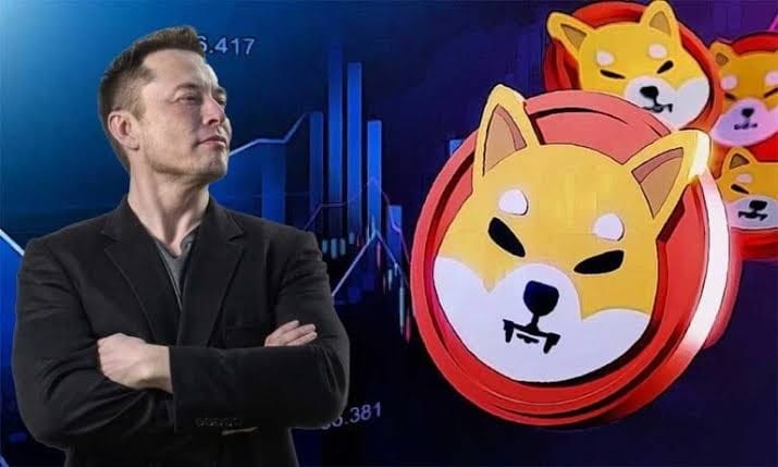 馬斯克的柴犬喜愛引發狗幣粉絲反應