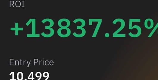 HODL 指的是什么？走私品是一種行為