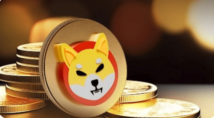 Shiba Inu 團(tuán)隊(duì)的推文讓 SHIB 社區(qū)興奮不已 原因如下