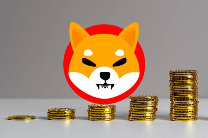 柴犬表現：兩個月的故事