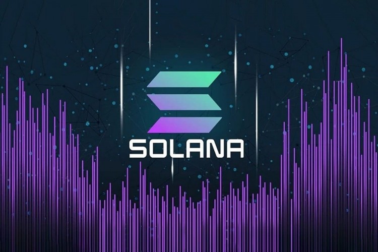 Solana（SOL）再次上漲：以下是您獲利的方法