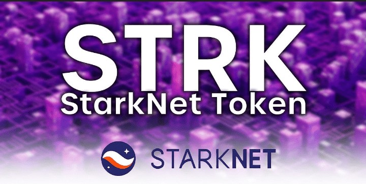 對 STRK 硬幣的擔(dān)憂
