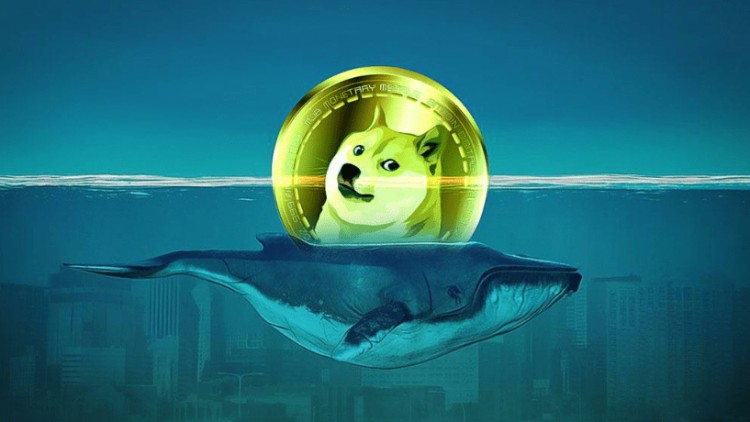 比特幣沖破50000美元大關BRAVENEWWORLDOFCRYPTOCURRENCY