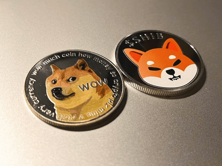 ?柴犬硬幣會達到 50 美分嗎？全部真相?
