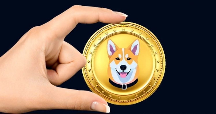 2024年，不要錯過$___！
