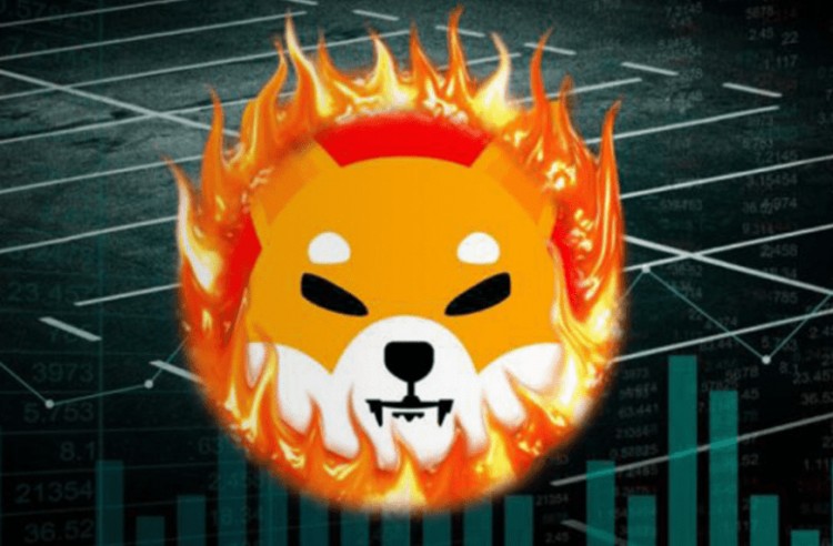 神秘鯨魚拋售價值4216億SHIB價格接近于零 Spot On Chain數據顯示