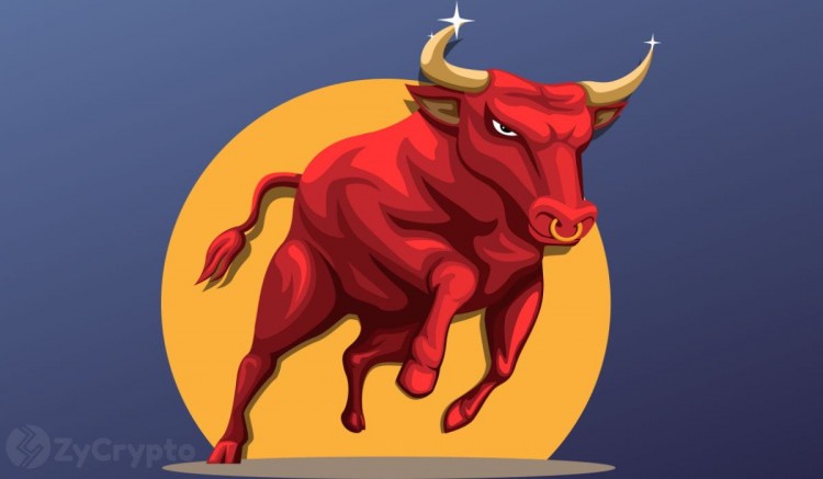 在這個超級周期中，XRP、Solana 和 Cardano 與比特幣一樣瘋狂看漲——原因如下