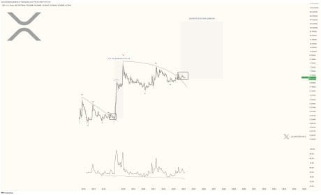 XRP 價格飆升：分析師預測將突破 200 美元