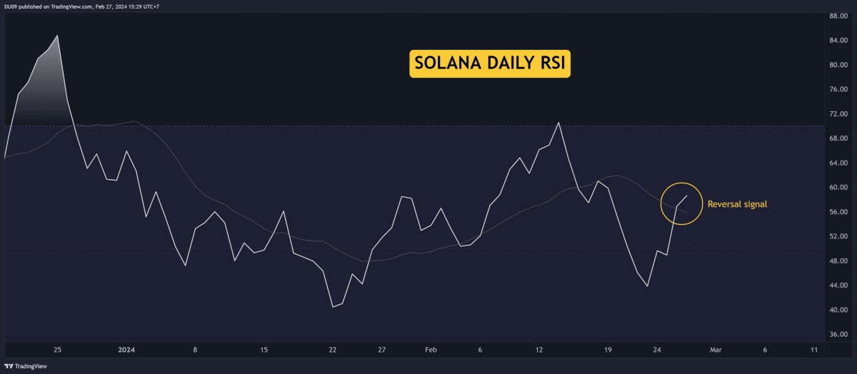 SOL突破110美元但還能漲到多高SOLANA價格分析