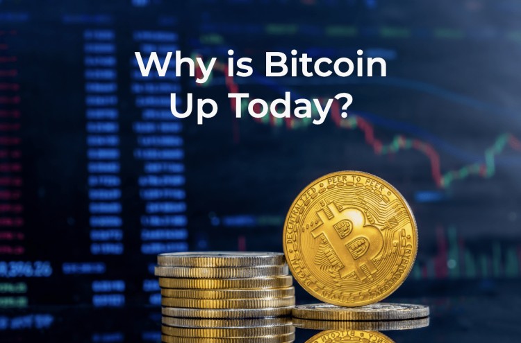 BTC飆升至55,000美元以上：為什么比特幣今天上漲？