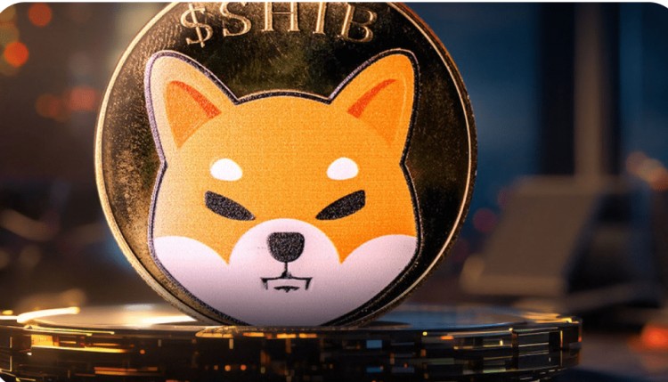 Shiba Inu 社區持有者收到重要信息提醒