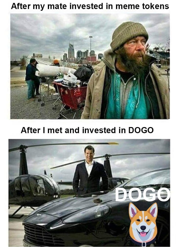 買跌預警DOGO，現在買入，贏得更多