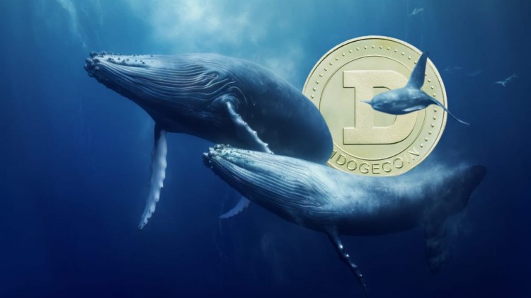 狗狗幣鯨魚在價格下跌期間轉移了 2.76 億美元 DOGE，逢低買入？