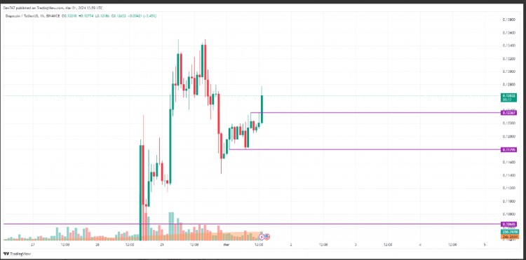 DOGE3月1日價格分析