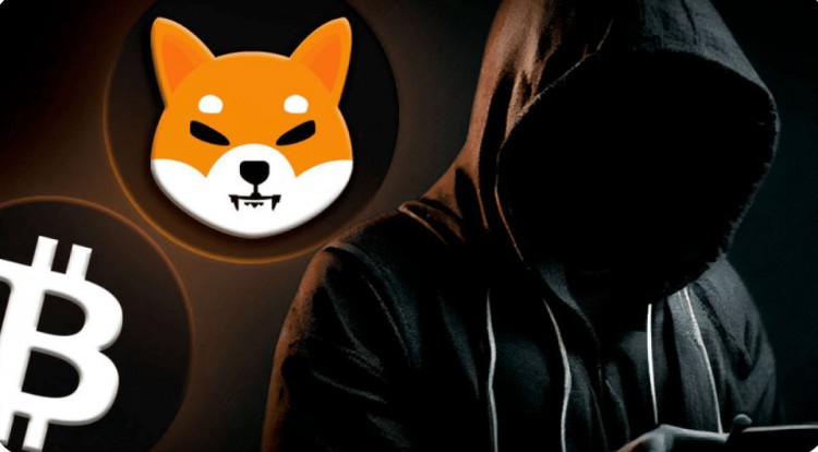 SHIB負責人的看法:并不在乎比特幣是否達到70,000美元