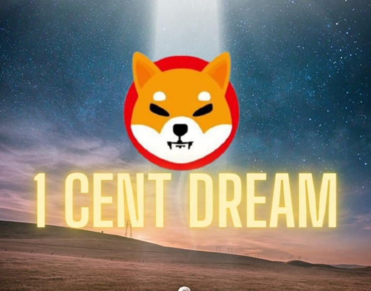 Shiba Coin 2024年0.01美元目標
