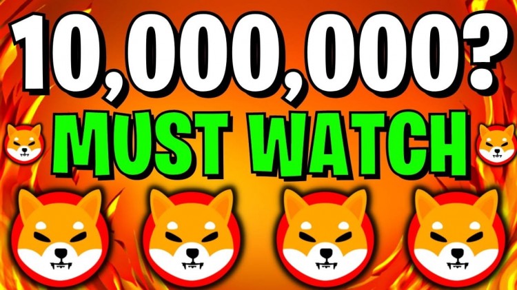 10,000,000 SHIB價格預測及投資者注意事項