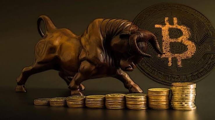 2024 年的下一個熱門加密貨幣