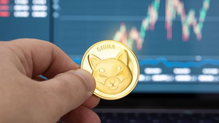 柴犬激增引發好奇心，SHIB能否保持這個速度？
