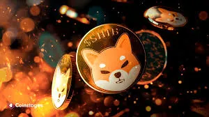 [伯特]柴犬鯨正在積累 SHIB，它們是否知道一些你不知道的事情？