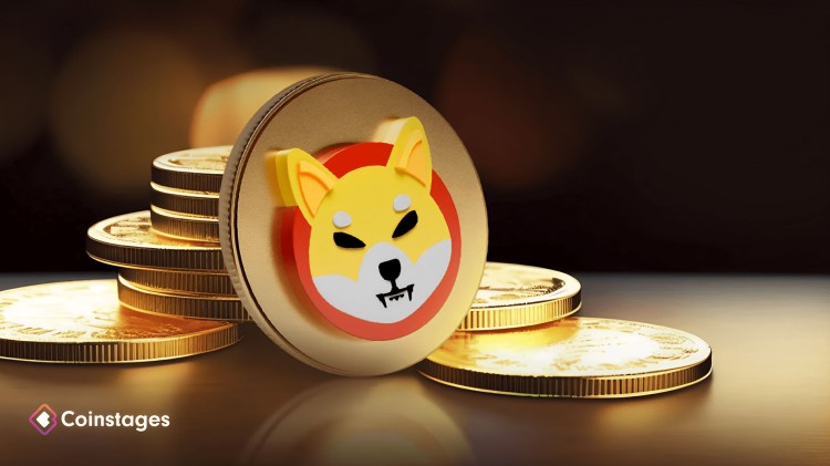我們詢問 ChatGPT Shiba Inu (SHIB) 是否會(huì)在 2024 年創(chuàng)下歷史新高，它是這樣說的