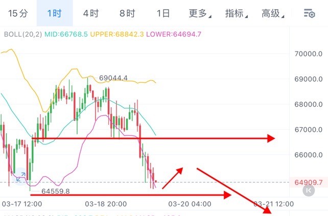 [01紫鵬]午夜的寧靜