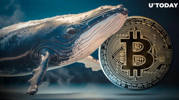 史詩般的比特幣鯨魚發(fā)起大規(guī)模拋售，但有一個陷阱