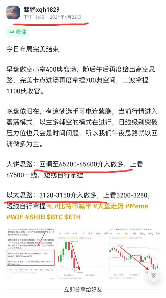 [01紫鵬]清晨的陽光