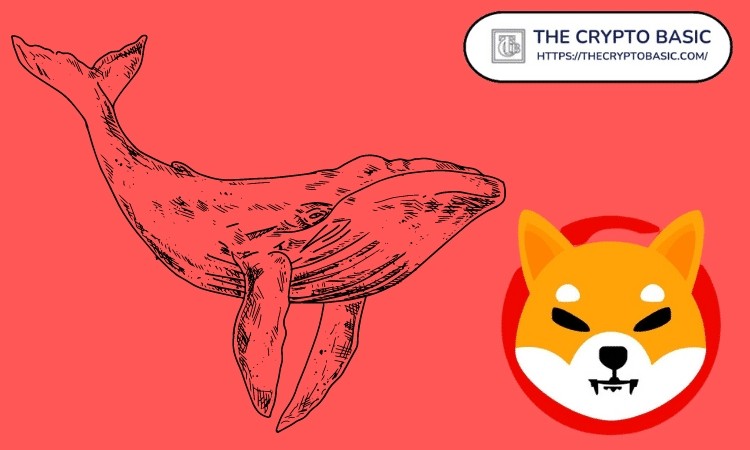 巨鯨吞下 1,750,000,000,000 只柴犬（來自 Robinhood）