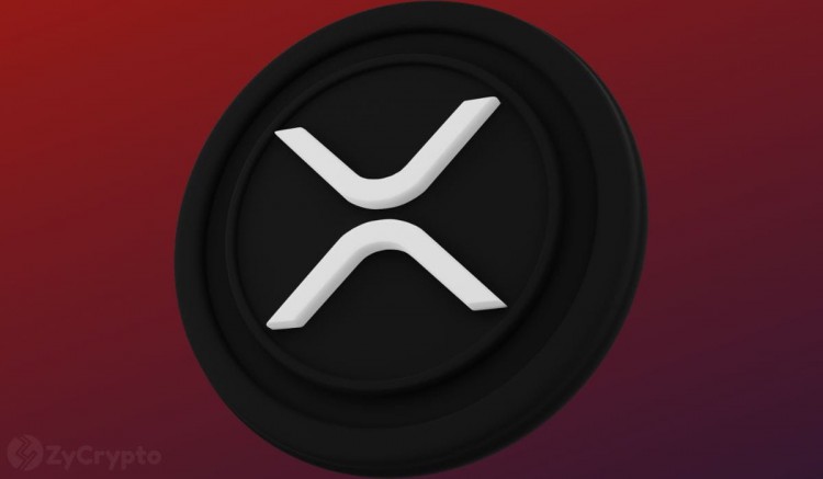 Ripple 首席技術官澄清他實際擁有多少 XRP