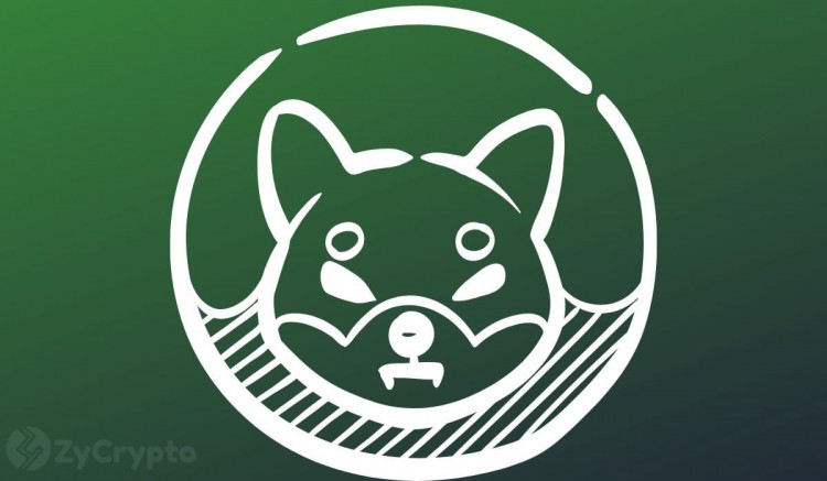 SHIB Army 的 0.01 美元價格夢想受到內(nèi)部人士調(diào)侃的推動，鏈上數(shù)據(jù)表明人們對……的興趣日益濃厚