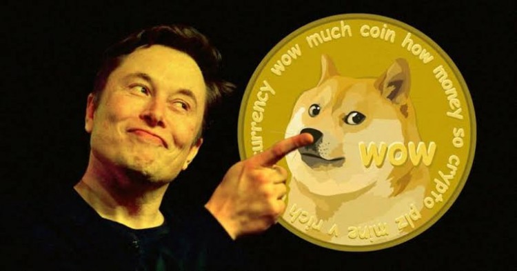 DOGE 的演變：從表情包幣到文化偶像