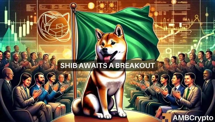 Shiba Inu 7天內上漲10%：SHIB會很快飆升至0.00003美元嗎