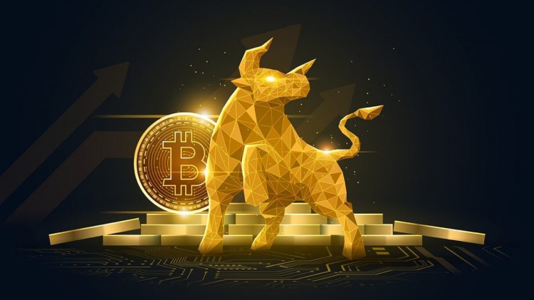 直播的采訪中分享了他的看法