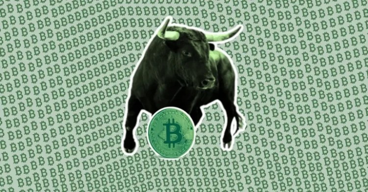 BTC 價格分析：這是比特幣牛市的時間表