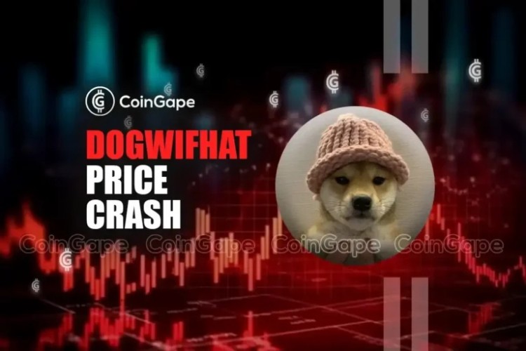 DOGWIFHAT價(jià)格今天暴跌的3個(gè)原因