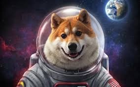 ## 狗狗幣：從網絡梗到金融現象的歷程