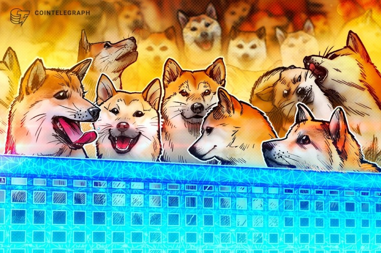 ### 柴犬 (SHIB)：從表情包到主流