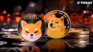 **柴犬 (SHIB)：雄心勃勃的表情包幣**