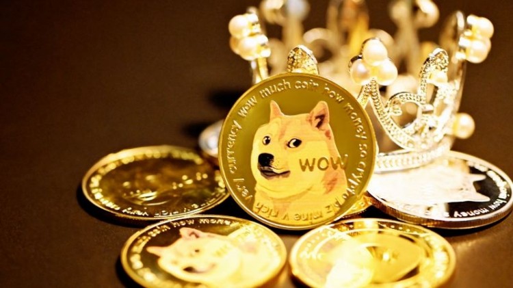 **探索 Bonk Meme Coin：樂趣與金融的融合**
