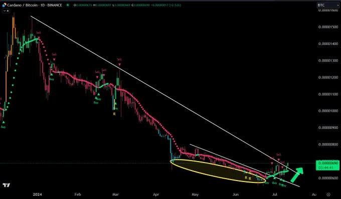 Cardano 有望在 2024 年獲得關注