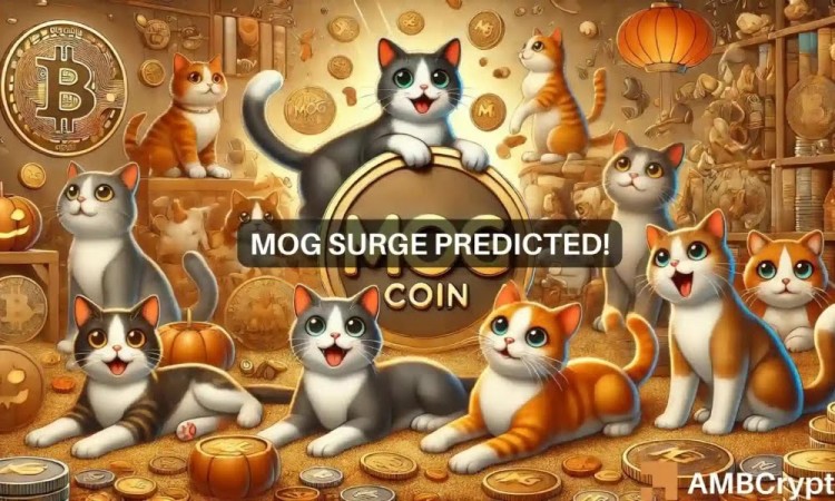 Mog Coin (MOG) 顯示出波動性的彈性：關鍵斐波那契水平和看漲指標