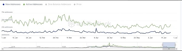 為什么ADA的價格今日上漲
