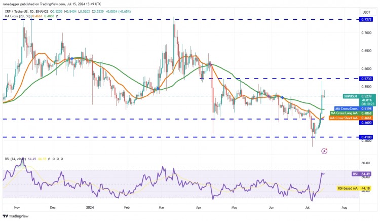 XRP 技術分析